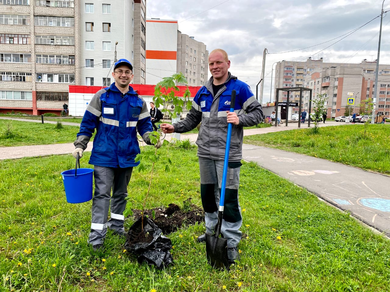 вологда фрязиновский парк